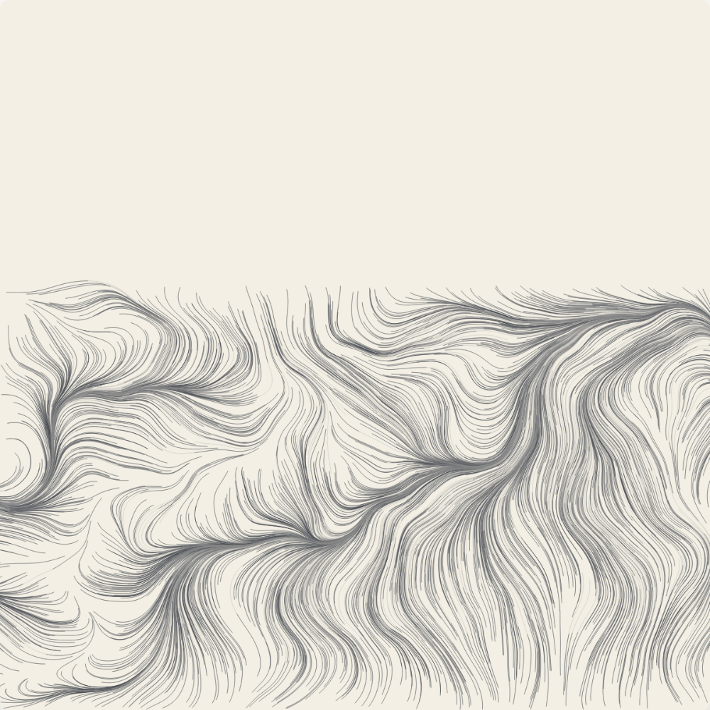 Seed 42 — control seed. Confirms the algorithm's family resemblance across very different noise fields: dense ribboning lower band, untouched upper field, same restricted palette.